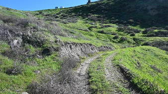 Enlarge photo 12