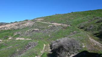 Enlarge photo 13