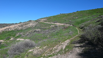 Enlarge photo 15