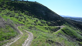 Enlarge photo 16