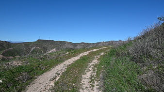 Enlarge photo 19