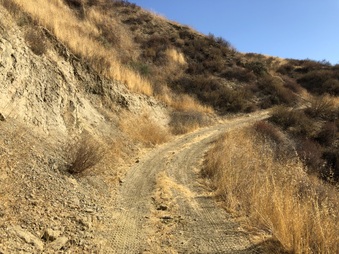 Enlarge photo 23