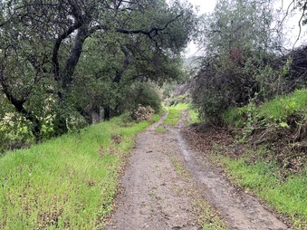 Enlarge photo 11