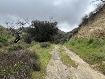 Enlarge photo 9