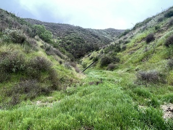 Enlarge photo 8