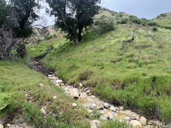 Enlarge photo 7