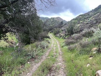 Enlarge photo 10