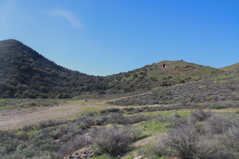 Enlarge photo 10