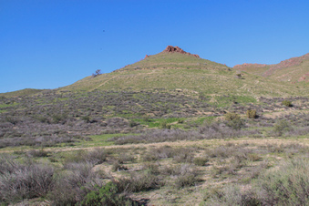 Enlarge photo 11