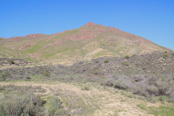 Enlarge photo 12