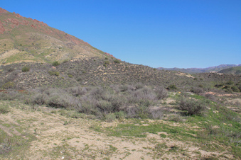 Enlarge photo 13