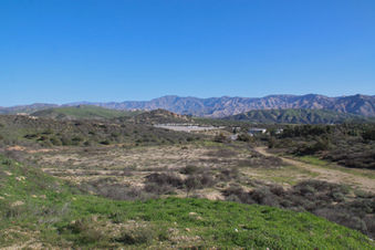 Enlarge photo 14