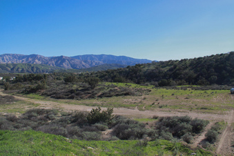 Enlarge photo 15
