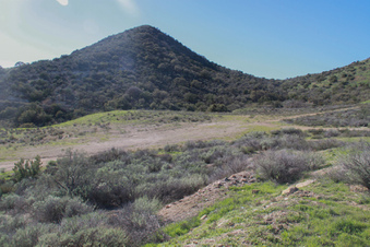 Enlarge photo 18
