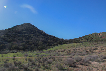 Enlarge photo 19