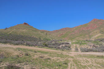 Enlarge photo 21