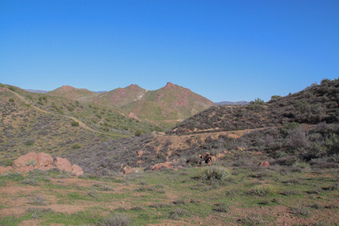 Enlarge photo 23