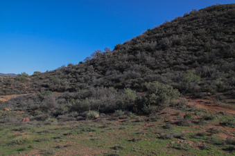 Enlarge photo 24