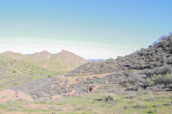 Enlarge photo 25