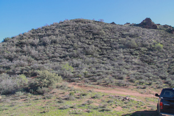 Enlarge photo 26