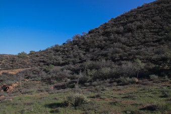 Enlarge photo 30