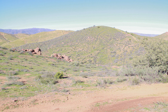 Enlarge photo 33