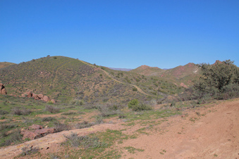 Enlarge photo 35