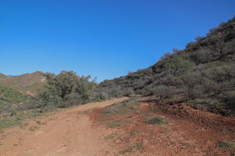 Enlarge photo 36
