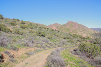 Enlarge photo 37