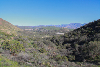 Enlarge photo 38
