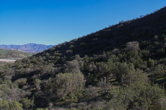 Enlarge photo 39