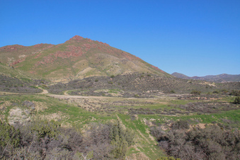 Enlarge photo 41