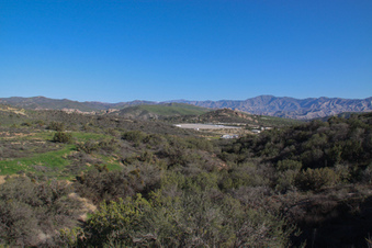 Enlarge photo 42
