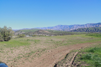 Enlarge photo 43