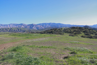 Enlarge photo 44