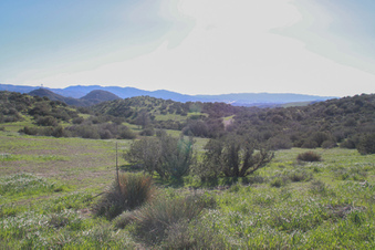 Enlarge photo 45