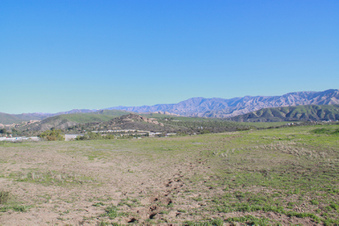 Enlarge photo 46