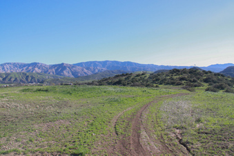 Enlarge photo 47