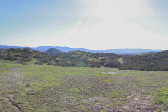 Enlarge photo 48