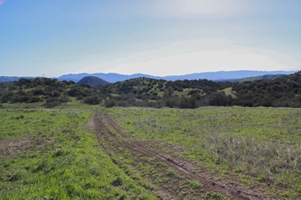 Enlarge photo 49