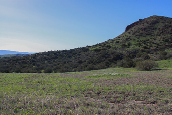 Enlarge photo 50
