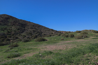 Enlarge photo 52