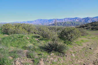 Enlarge photo 55