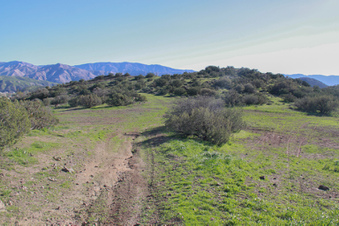 Enlarge photo 56