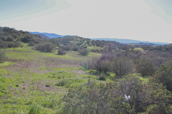 Enlarge photo 57