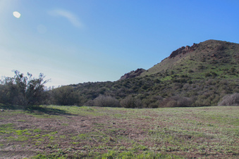 Enlarge photo 58
