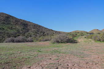 Enlarge photo 59