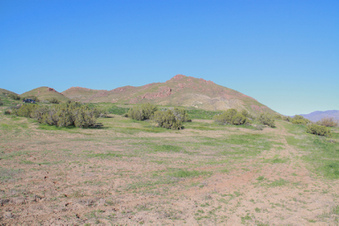 Enlarge photo 60