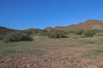 Enlarge photo 61
