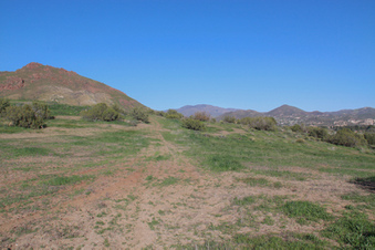 Enlarge photo 62